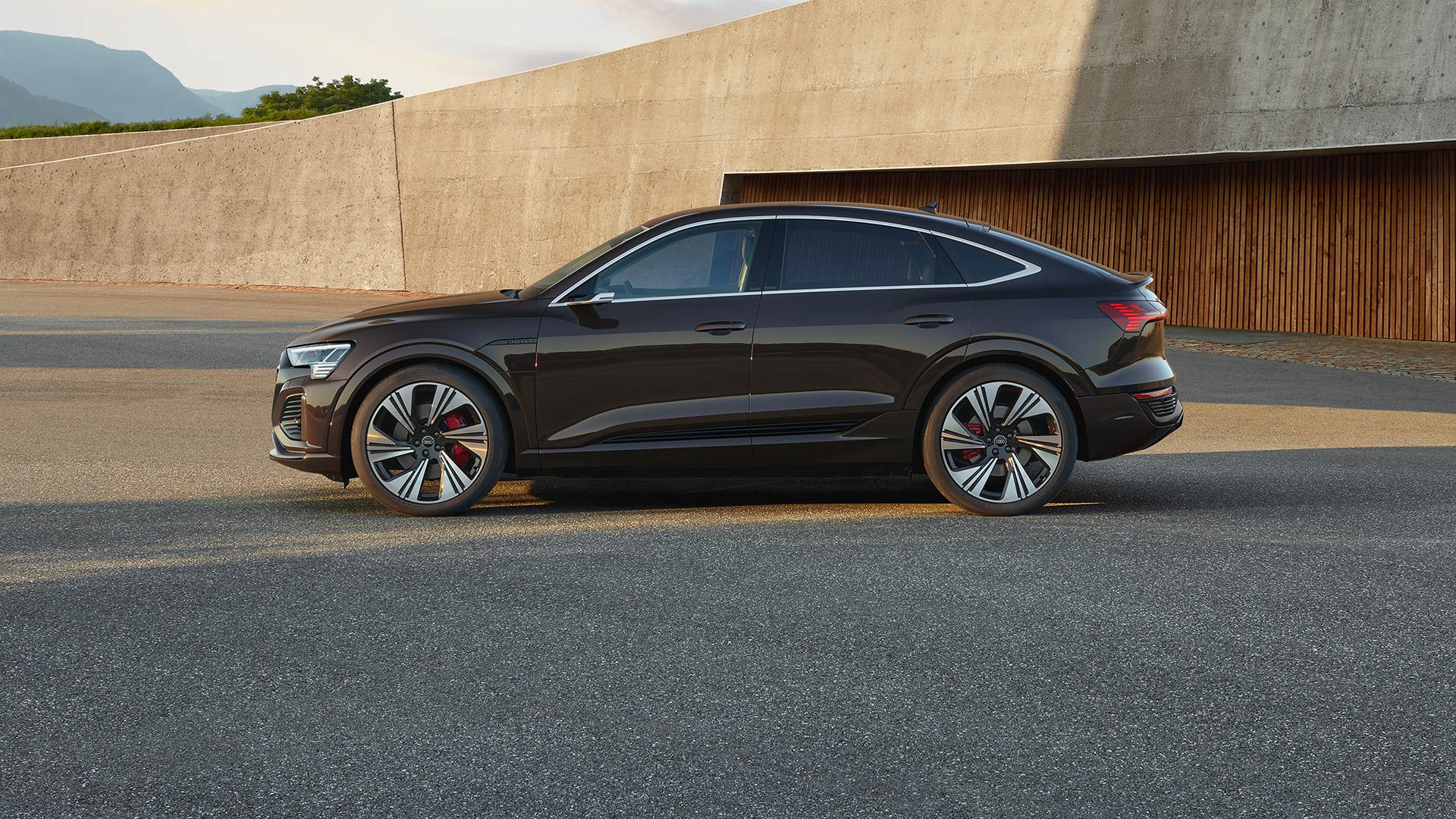 Side view Audi Q8 e-tron